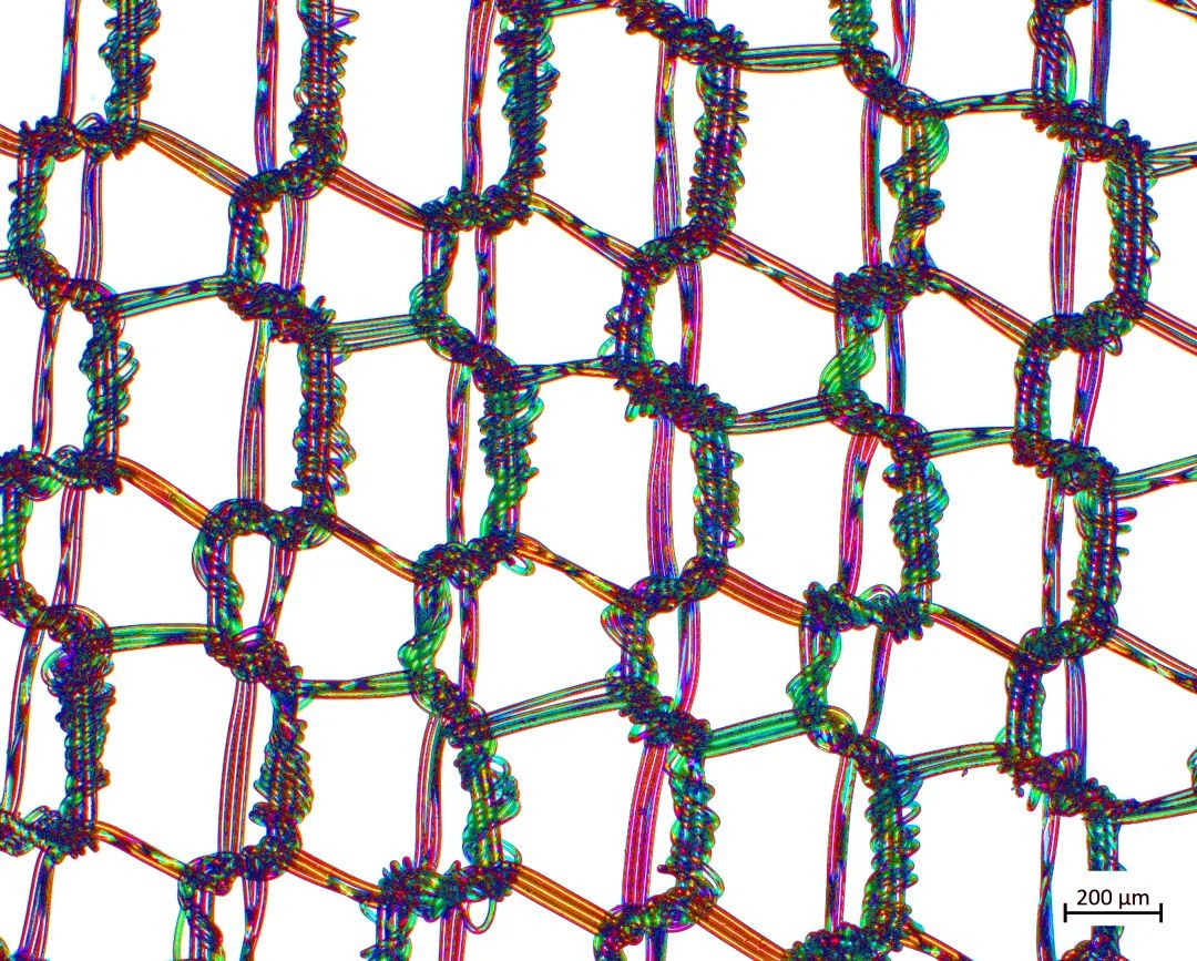 安顺蔡司场发射安顺扫描电镜